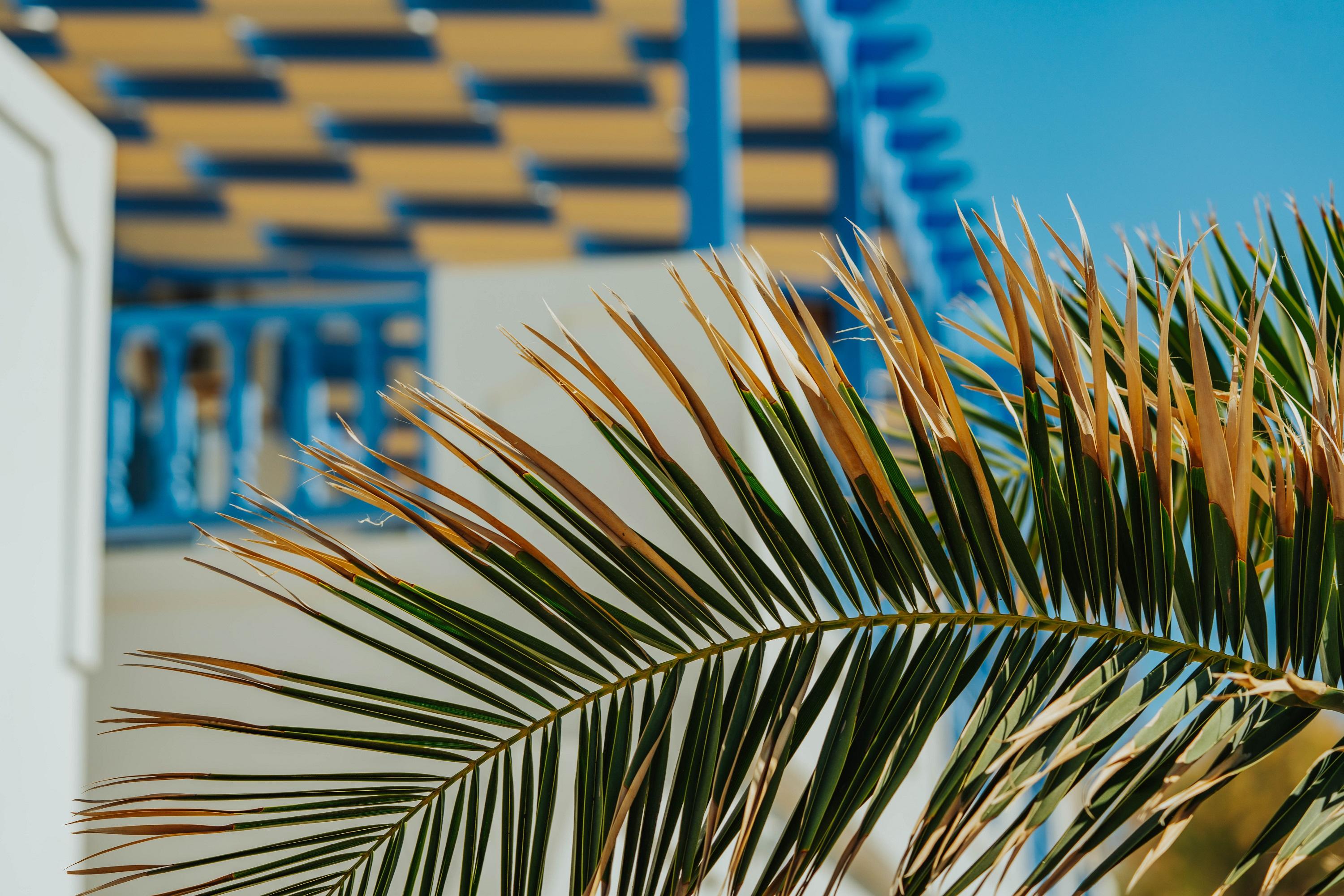 Vithos Aparthotel Astypalaia Exterior photo